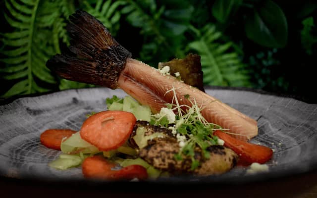 Gdzie zjeść w Muszynie? Odkryj najlepsze restauracje i smaki Gdzie zjeść w Muszynie? Odkryj najlepsze restauracje i smaki
